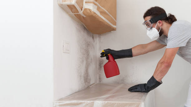 Professional Mold Removal technician working in Rolesville, NC