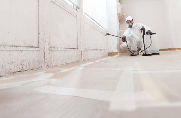 24/7 Emergency Mold Removal experts in Rolesville, NC