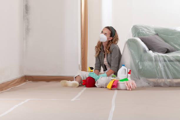 Reliable Mold Removal contractor in Rolesville, NC by WQB Mold Removal